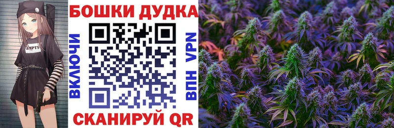 Каннабис OG Kush  где найти   Бикин 